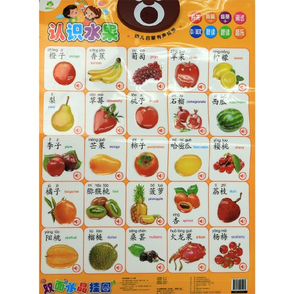 认识水果水果园/幼儿启蒙有声挂图