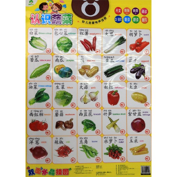 认识蔬菜蔬菜园/幼儿启蒙有声挂图