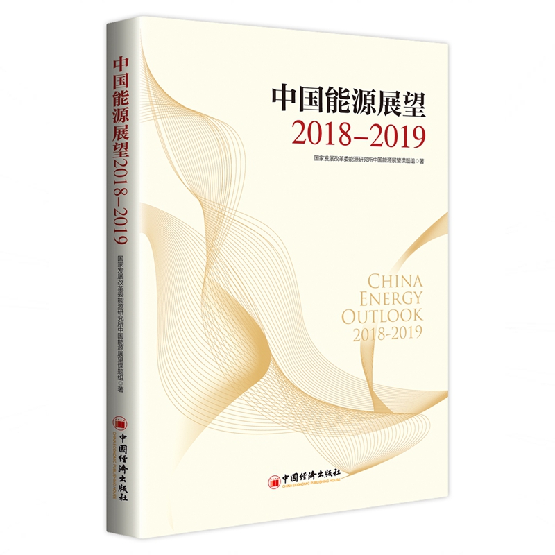 中国能源展望2018—2019