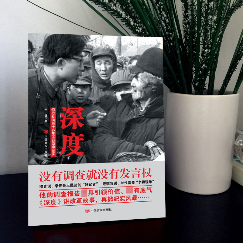 深度(惊心动魄三十多年国运家事纪实)