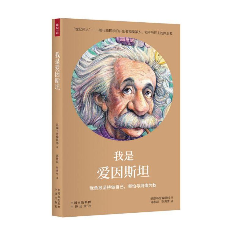 我是爱因斯坦(精)