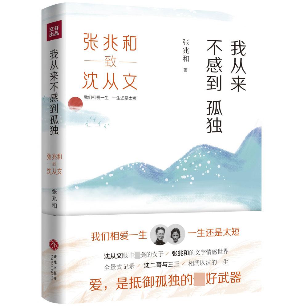 我从来不感到孤独