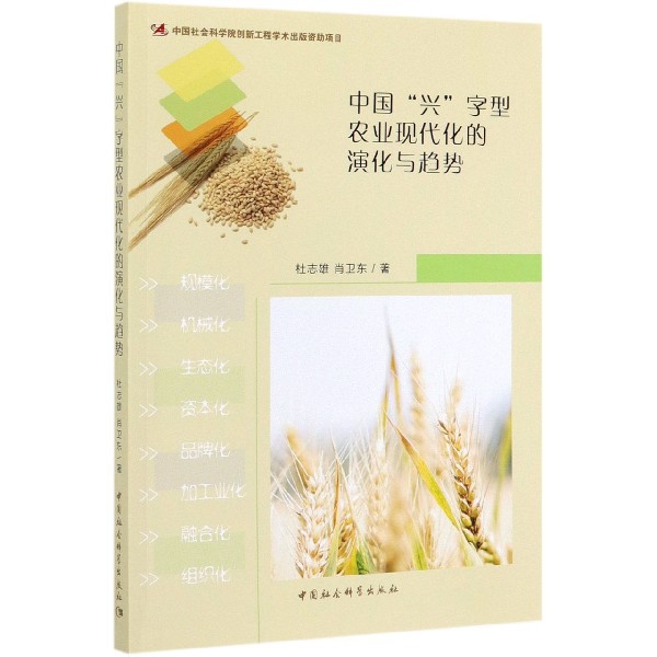 中国兴字型农业现代化的演化与趋势