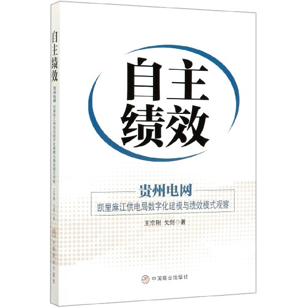 自主绩效(贵州电网凯里麻江供电局数字化建模与绩效模式观察)