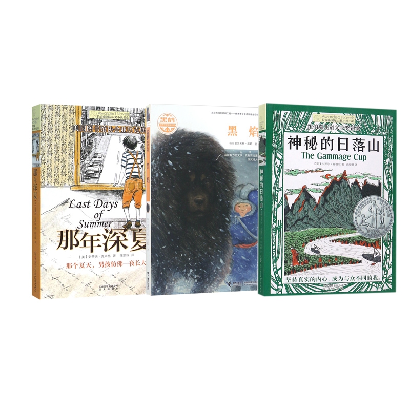 黑焰+那年深夏+神秘的日落山 全3册