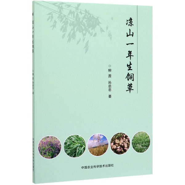 凉山一年生饲草