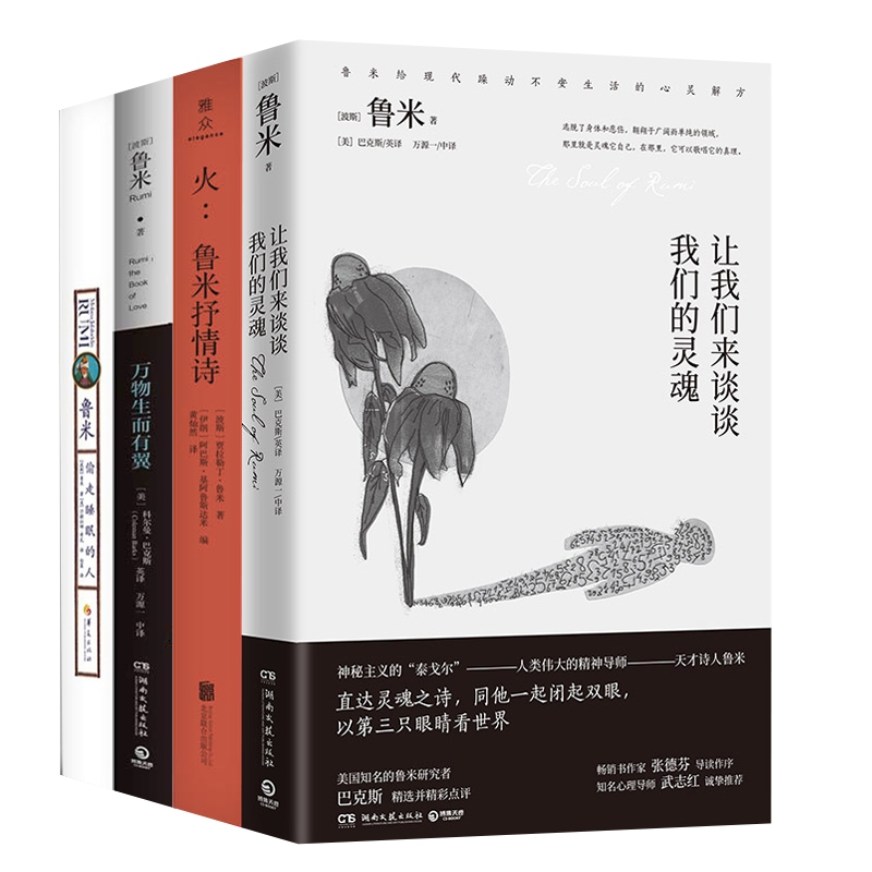 鲁米作品全4册