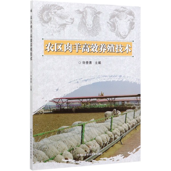 农区肉羊高效养殖技术