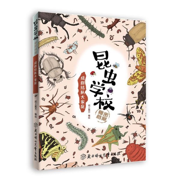 成群结队大家庭/昆虫学校秘密档案