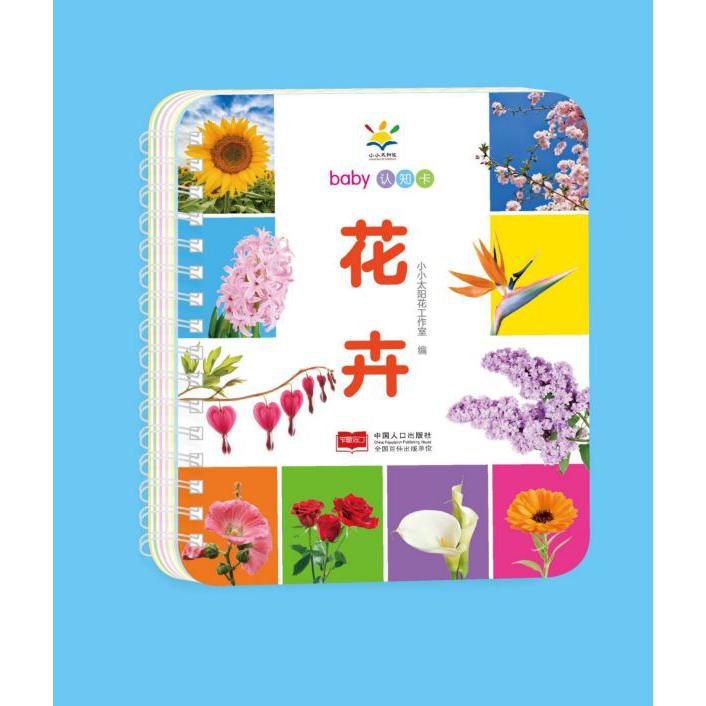 花卉/baby认知卡