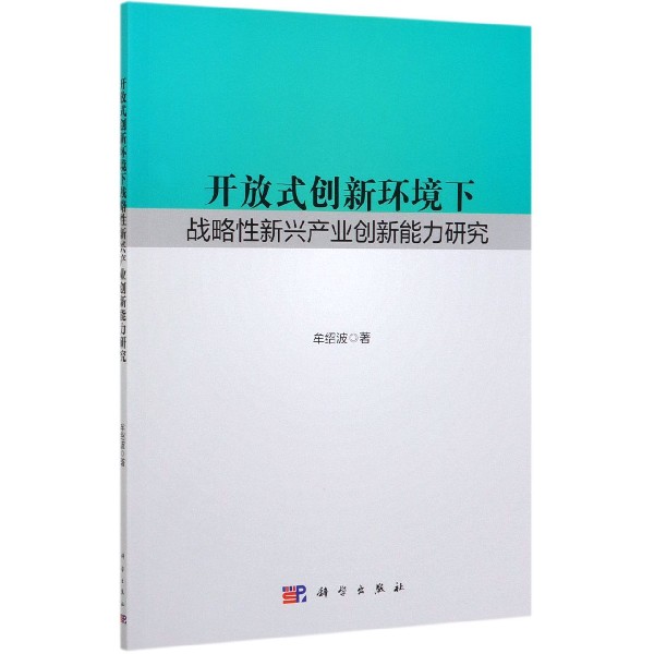 开放式创新环境下战略性新兴产业创新能力研究