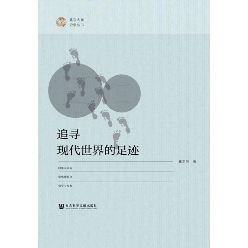 追寻现代世界的足迹/北京大学史学丛书