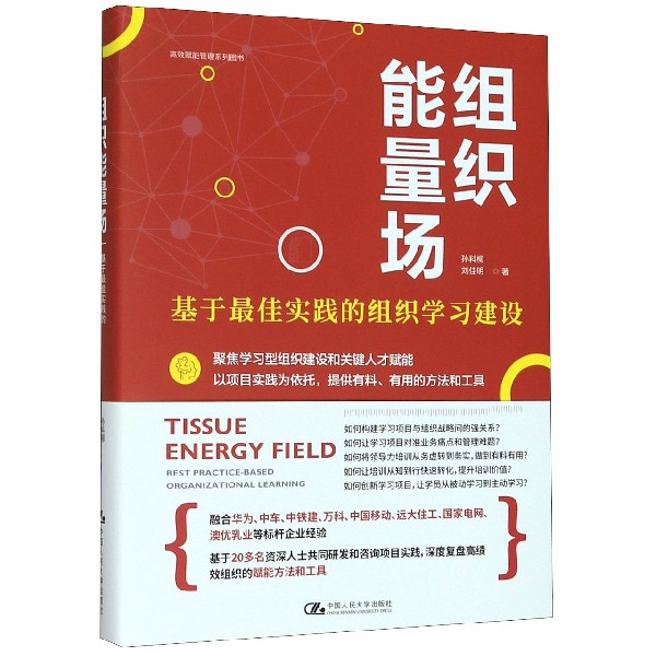 组织能量场(基于最佳实践的组织学习建设)(精)