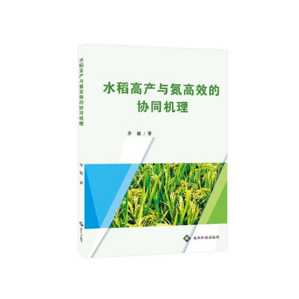 水稻高产与氮高效的协同机理