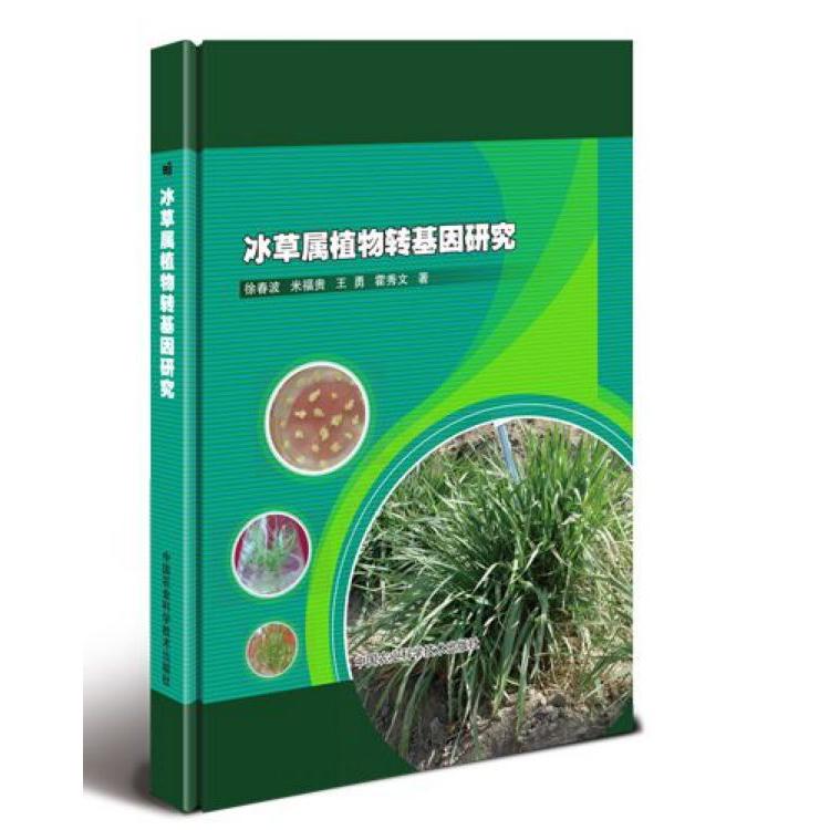 冰草属植物转基因研究