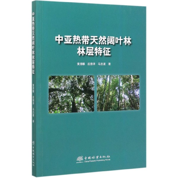 中亚热带天然阔叶林林层特征