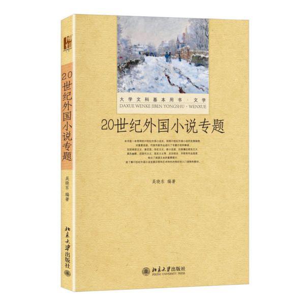 20世纪外国小说专题(文学大学文科基本用书)