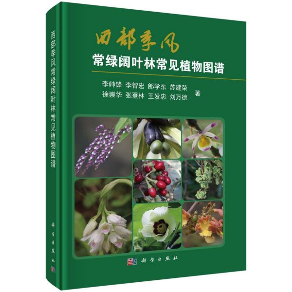 西部季风常绿阔叶林常见植物图谱(精)
