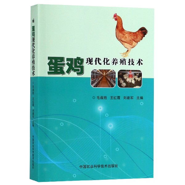 蛋鸡现代化养殖技术