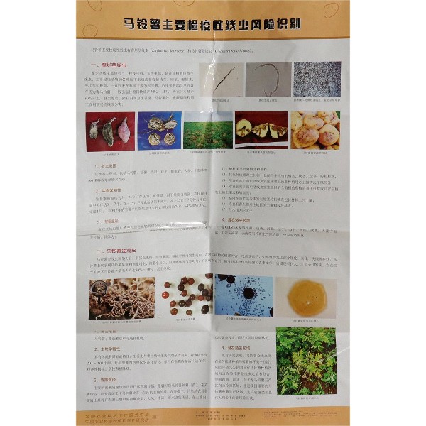 马铃薯主要检疫性线虫风险识别