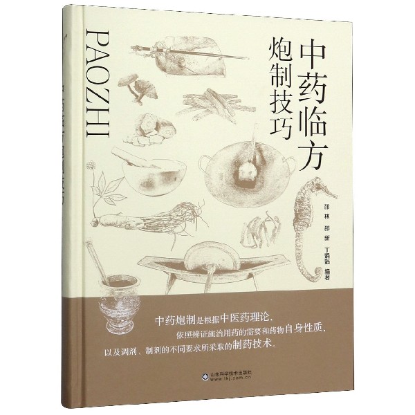中药临方炮制技巧(精)