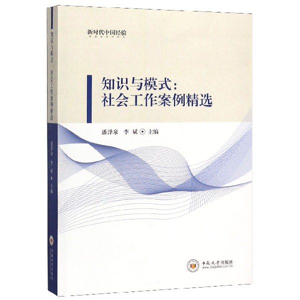 知识与模式--社会工作案例精选