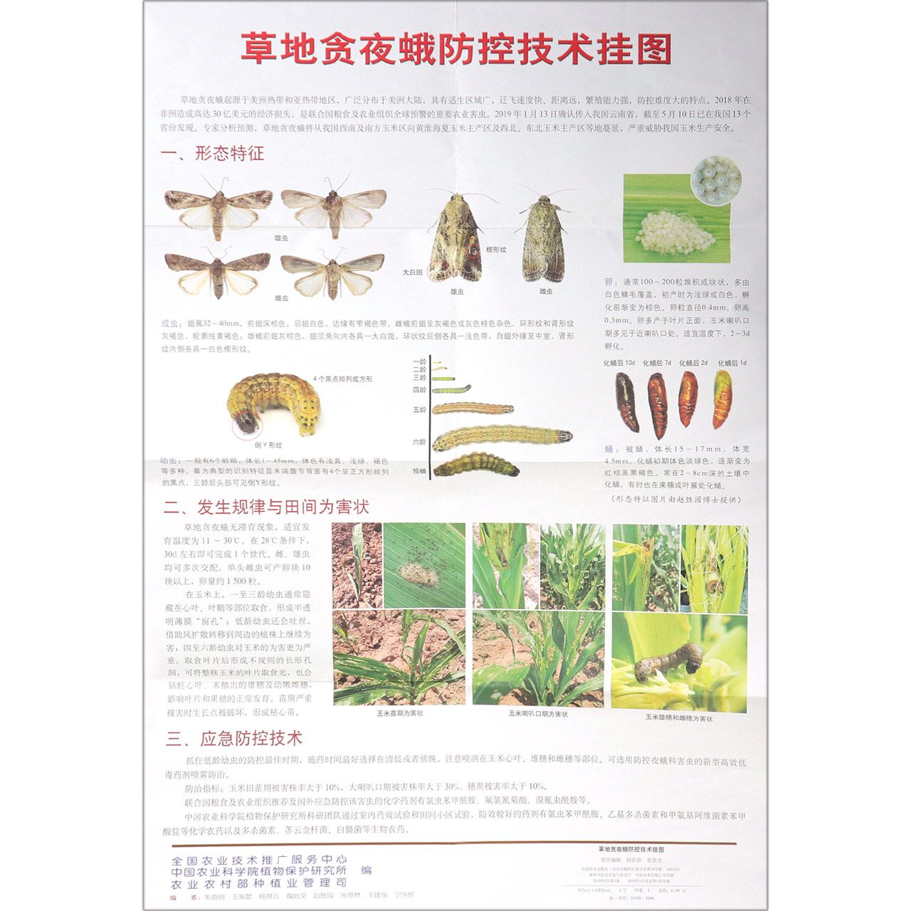 草地贪夜蛾防控技术挂图
