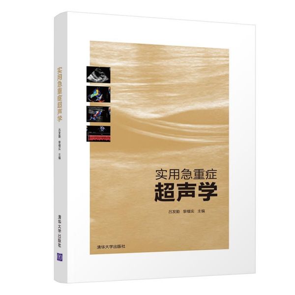 实用急重症超声学(精)