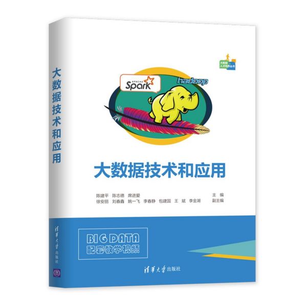 大数据技术和应用/大数据人才培养丛书