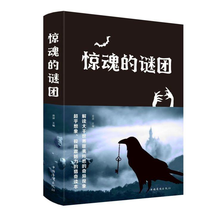 惊魂的谜团(精)