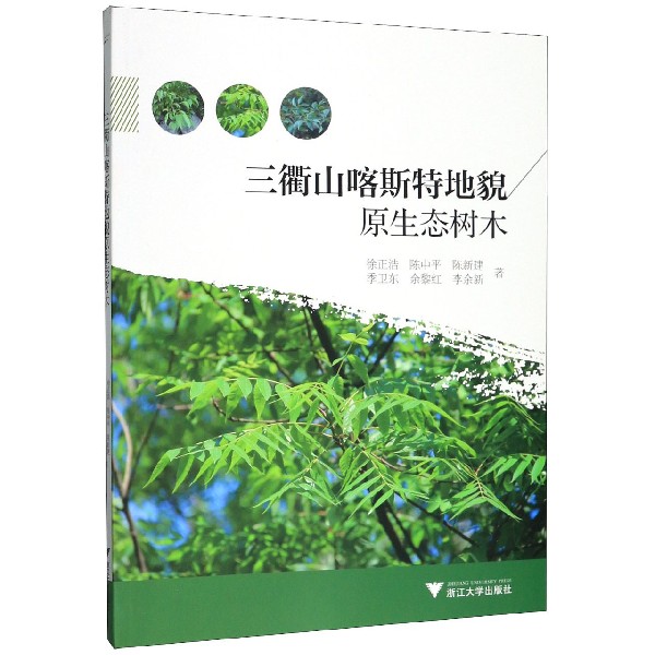 三衢山喀斯特地貌原生态树木