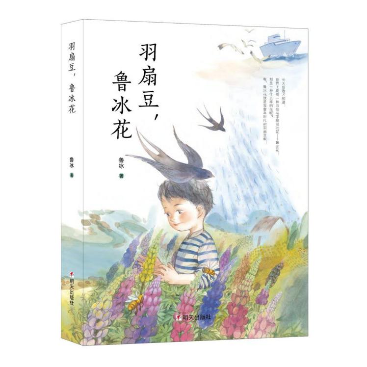 羽扇豆鲁冰花