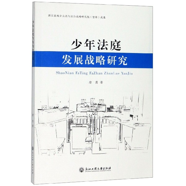 少年法庭发展战略研究