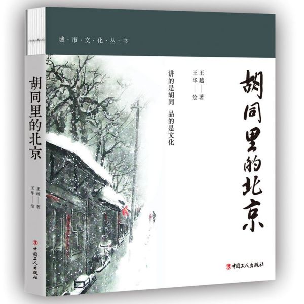 胡同里的北京/城市文化丛书