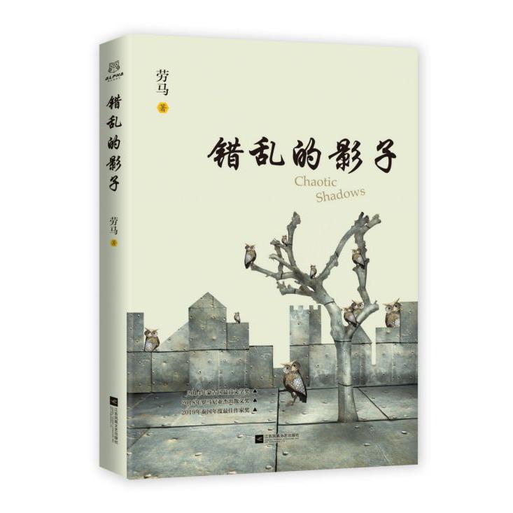 错乱的影子