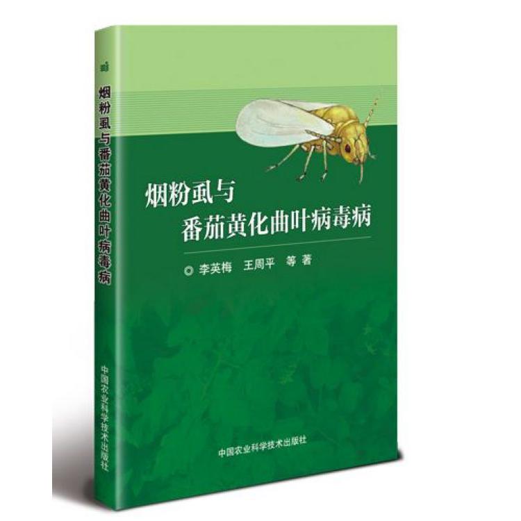 烟粉虱与番茄黄化曲叶病毒病