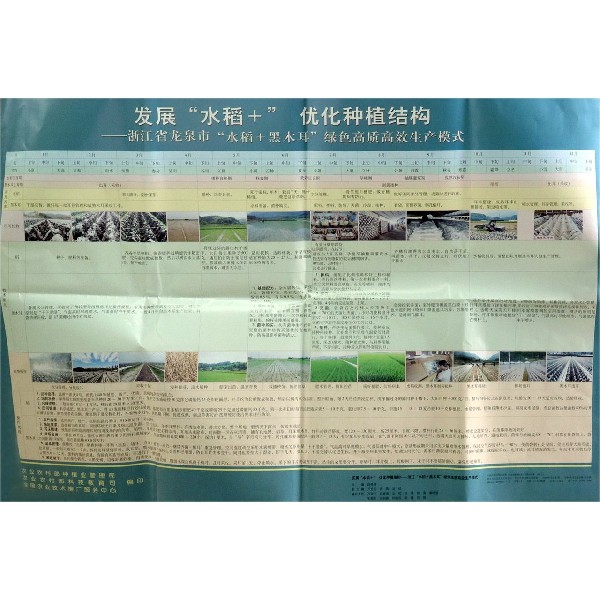 发展水稻+优化种植结构--浙江省龙泉市水稻+黑木耳绿色高质高效生产模式