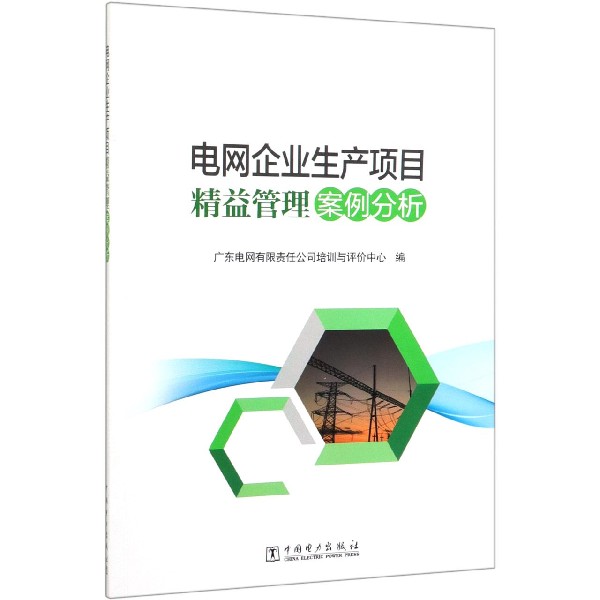 电网企业生产项目精益管理案例分析