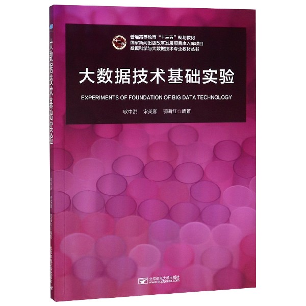 大数据技术基础实验(普通高等教育十三五规划教材)/数据科学与大数据技术专业教材丛书