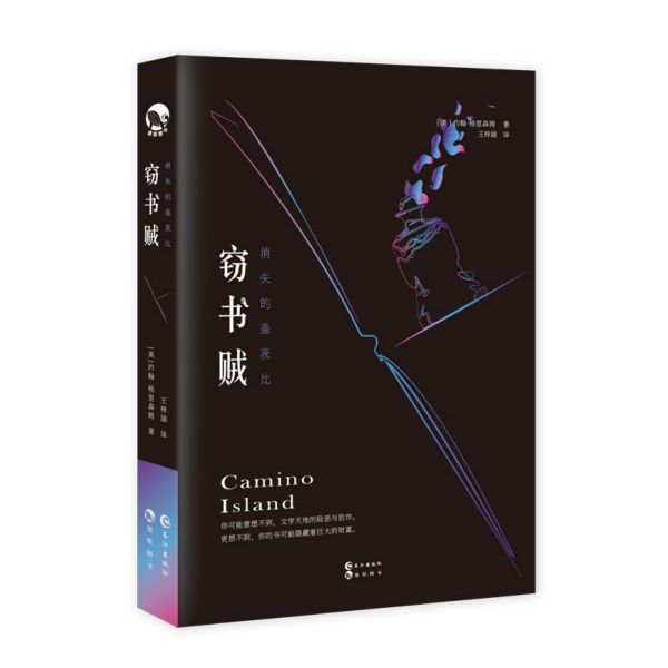 窃书贼(消失的盖茨比)
