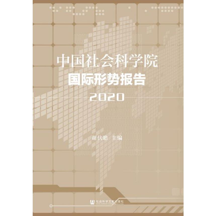 中国社会科学院国际形势报告(2020)