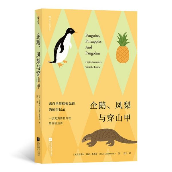 企鹅凤梨与穿山甲