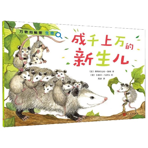 成千上万的新生儿/万物的秘密