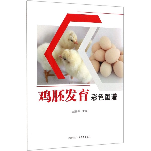 鸡胚发育彩色图谱