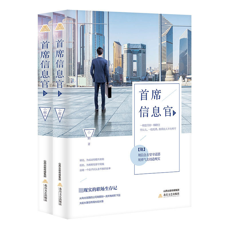 首席信息官(上下)