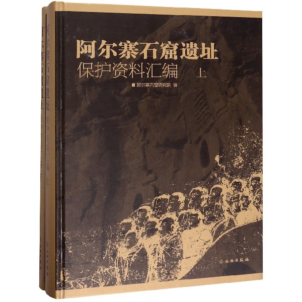 阿尔寨石窟遗址保护资料汇编(上下)(精)