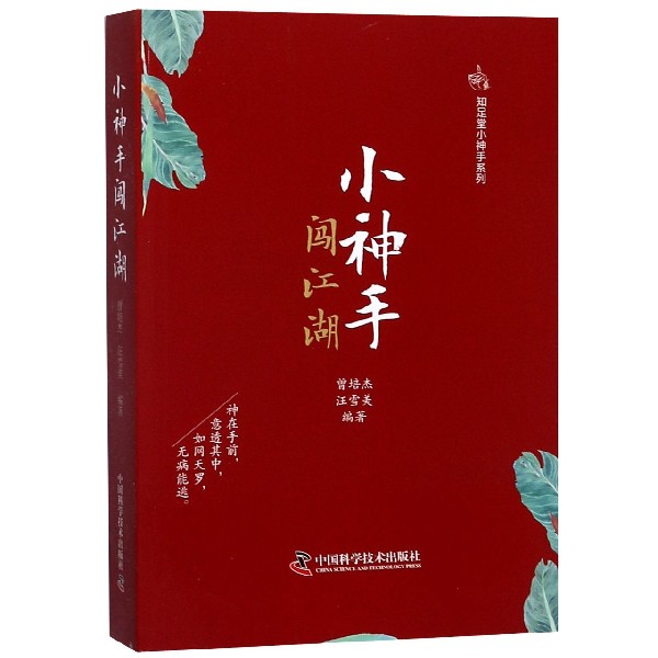 小神手闯江湖/知足堂小神手系列