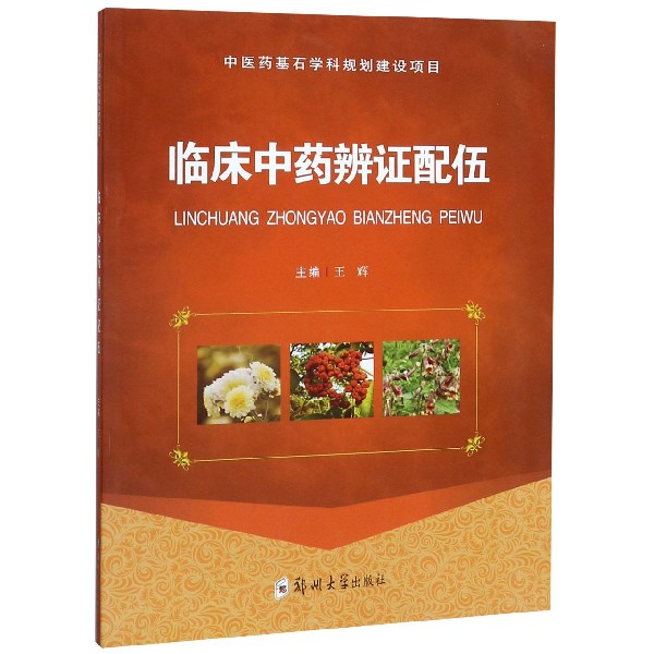 临床中药辨证配伍
