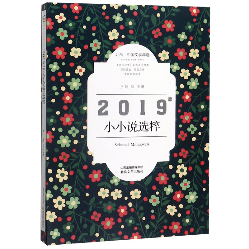 2019年小小说选粹(北岳中国文学年选)