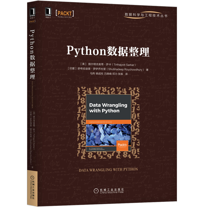 Python数据整理/数据科学与工程技术丛书